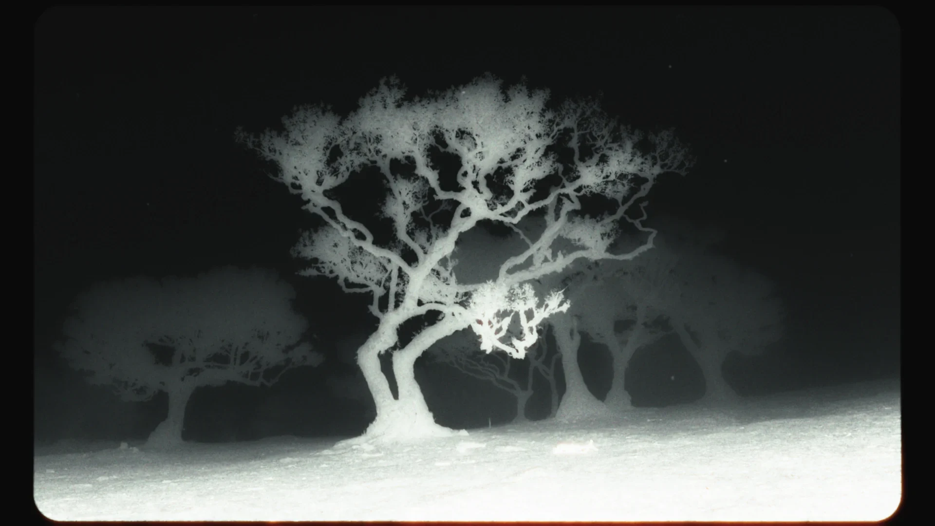 Kreative Musikvideo-Produktion für Blue Bentu – Cinematic Storytelling von Holy Moly Films.