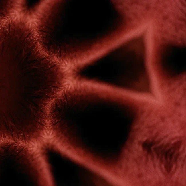 Abstract and artistic red texture from the video project by Holy Moly Films.